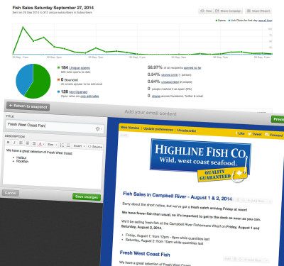 Email Newsletter Example Thumbnail